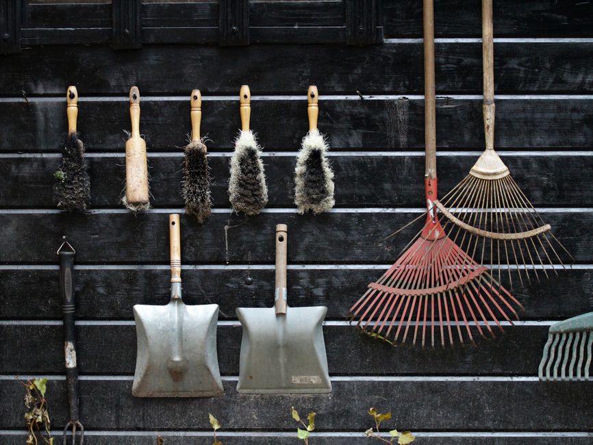 Neatly arranged garden tools hanging on a rustic wooden wall.